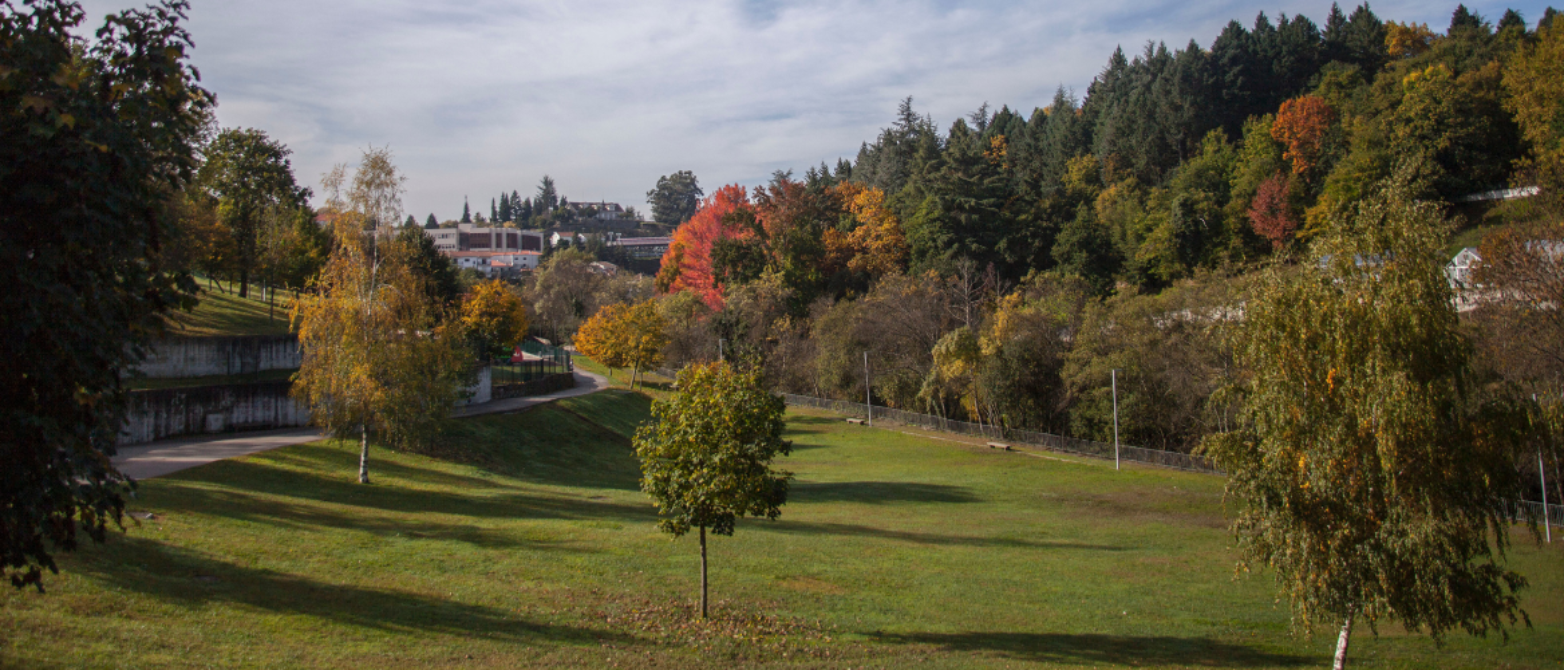fotografía del Parque Miracorgo. Muestra un paisaje otoñal con varios árboles y un camino a la izquierda