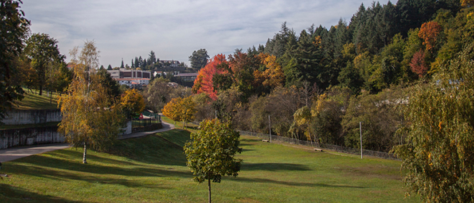 fotografía del Parque Miracorgo. Muestra un paisaje otoñal con varios árboles y un camino a la izquierda