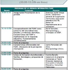 Trastorno de Aprendizaje No Verbal (TANV)