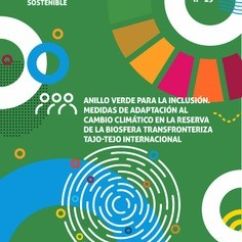 Cartel de la publicación número 19