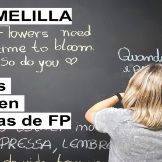 Programas Bilingües FP