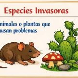 Imagen relaciones naturaleza
