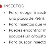 Imagen Guía Observación