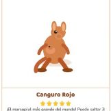 Imagen cartas biodiversidad