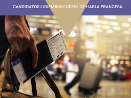 auxiliares conversacion luxemburgueses
