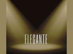 imagen elegante