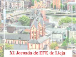 XI Jornada de EFE de Lieja