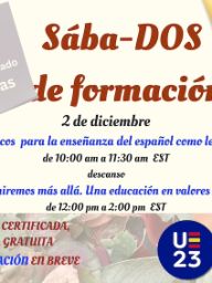 Actividad de formación online para el profesorado