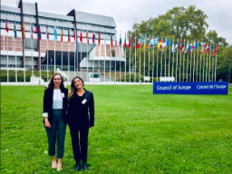 8.ª sesión plenaria del Comité Directivo de Educación (CDEDU)