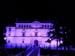 Universidad de Alcalá