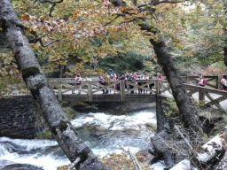 La magia de la naturaleza. Una ruta para todos los sentidos.