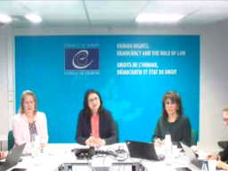 Reunión de la Red Europea de Asesores Políticos (EPAN) del Consejo de Europa