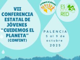 Cartel de la VII Confint